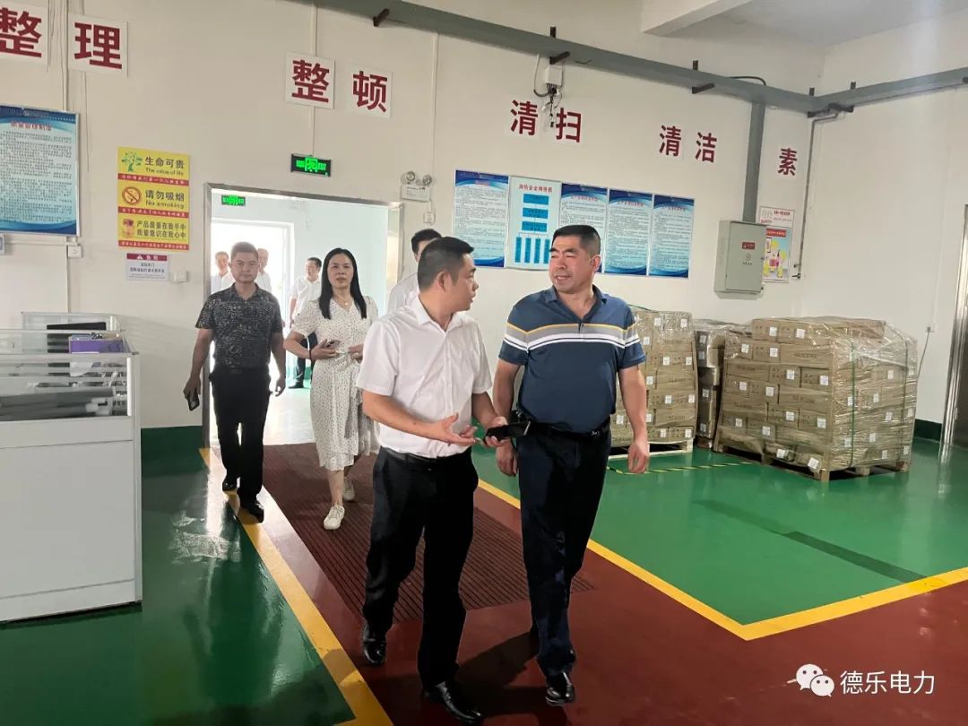 湖北理工學院就校企合作到德樂電力考察調研